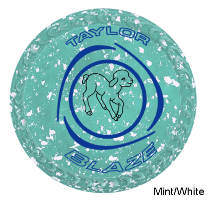 DEPOSIT on Taylor Blaze Coloured Bowls